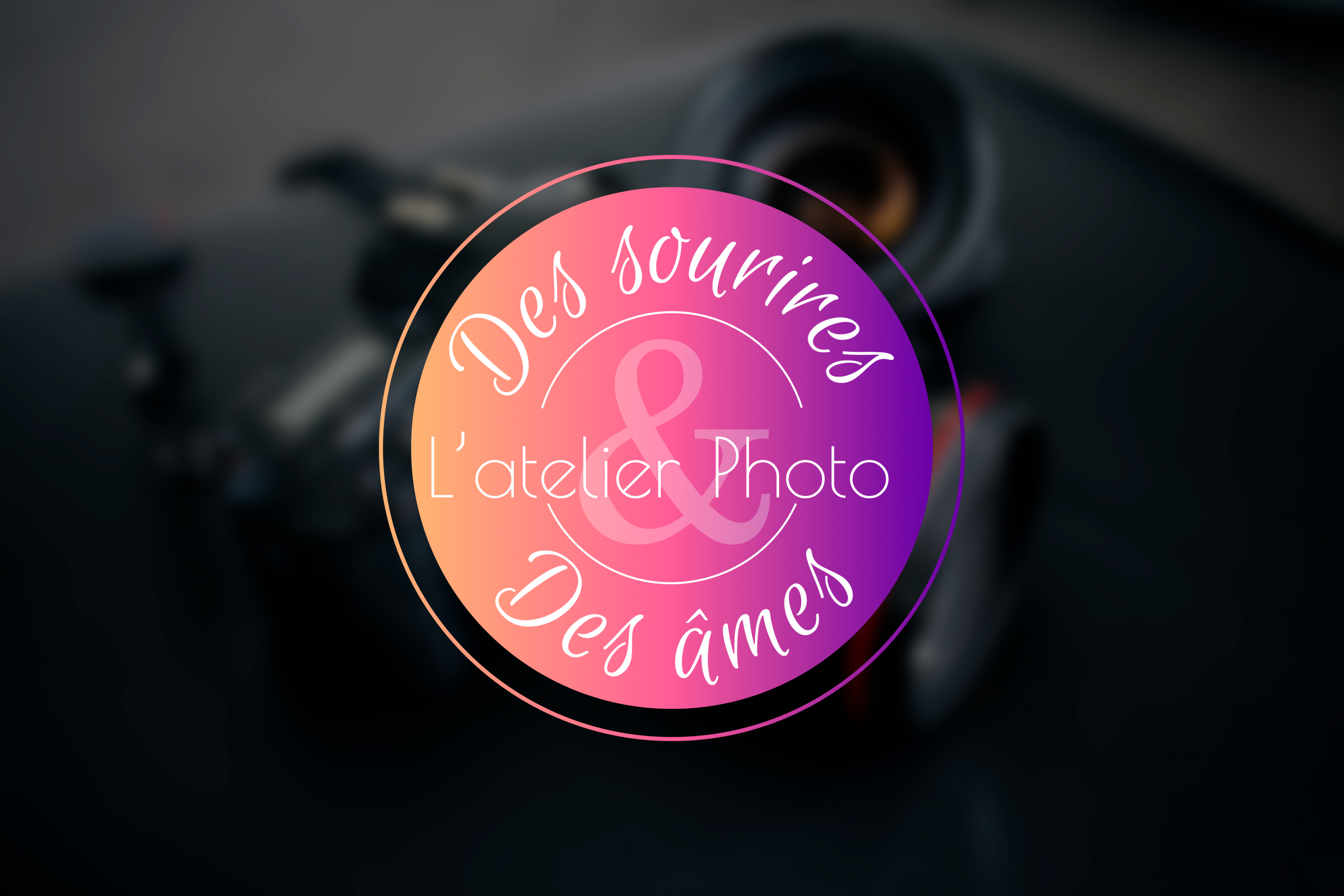 Logo-DSEDA-rond-colorblock